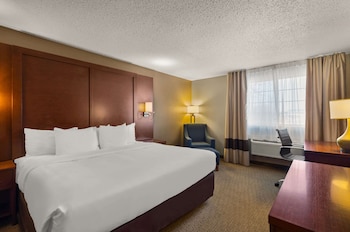 Room, 1 King Bed, Non Smoking