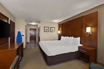 Room, 1 King Bed, Non Smoking