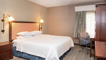Room, 1 King Bed, Accessible, Bathtub