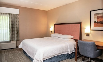 Room, 1 King Bed, Accessible (Roll-In Shower)