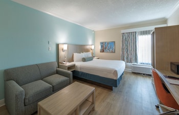 King room with Twin Sofa bed