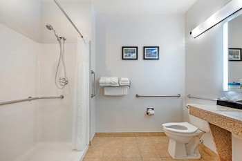 Room, 1 King Bed, Accessible, Non Smoking