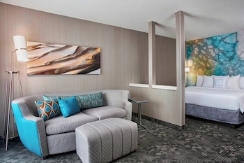 Room, 1 King Bed with Sofa bed