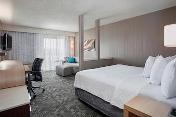 Room, 1 King Bed with Sofa bed