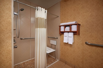Standard Room, 1 King Bed, Roll-in Shower, Non Smoking (Mobility/Hearing)