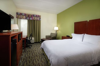Standard Room, 1 King Bed, Roll-in Shower, Non Smoking (Mobility/Hearing)