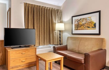 Deluxe Studio, Multiple Beds, Non Smoking