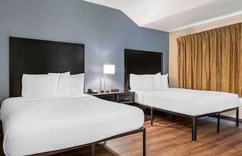 Deluxe Studio, Multiple Beds, Non Smoking