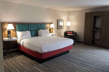 One King Bed Accessible