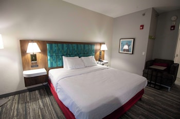 Room, Accessible, Non Smoking (Hearing Impaired/Roll-in Shower)