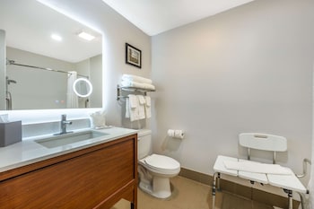 Suite, 1 King Bed, Accessible, Non Smoking (Interior Corridor)