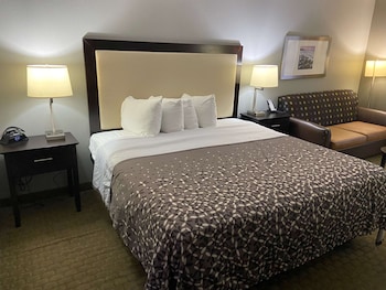 Standard Room, 1 King Bed with Sofa bed, Non Smoking, Refrigerator & Microwave (with Sofabed)
