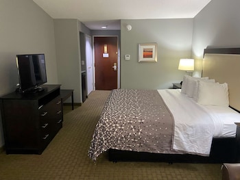 Standard Room, 1 King Bed with Sofa bed, Non Smoking, Refrigerator & Microwave (with Sofabed)