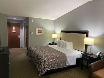 Standard Room, 1 King Bed with Sofa bed, Non Smoking, Refrigerator & Microwave (with Sofabed)