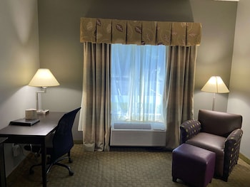 Standard Room, 1 King Bed, Accessible, Non Smoking (Refrigerator & Microwave)