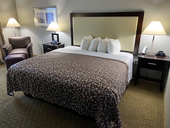 Standard Room, 1 King Bed, Accessible, Non Smoking (Refrigerator & Microwave)