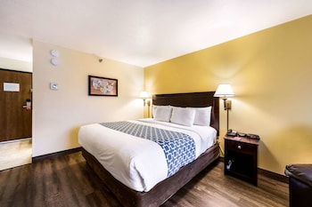 Standard Room, 1 King Bed, Non Smoking