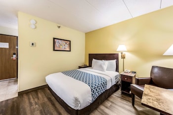 1 Queen Bed, ACCESSIBLE, Non Smoking