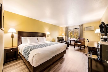 Standard Room, 1 King Bed, Non Smoking