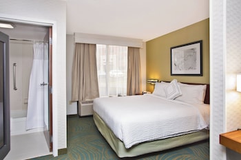 Suite, 1 King Bed with Sofa bed