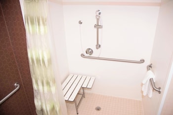 Suite, 1 King Bed with Sofa bed