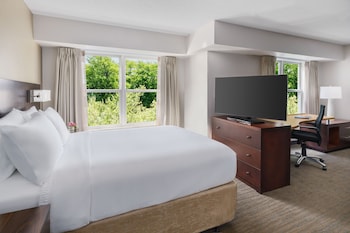 Studio, 1 Queen Bed with Sofa bed