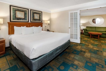 Suite, 1 Bedroom, Non Smoking (1 King Bed)