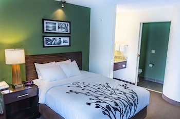 Standard Room, 2 Queen Beds, Non Smoking, Refrigerator & Microwave