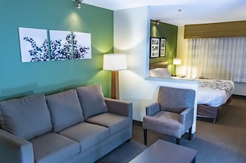 Suite, 1 King Bed with Sofa bed, Non Smoking