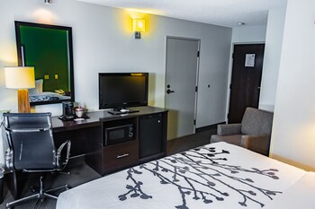 Room, 1 King Bed, Accessible, Non Smoking
