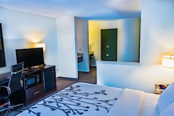 Suite, 1 King Bed with Sofa bed, Non Smoking