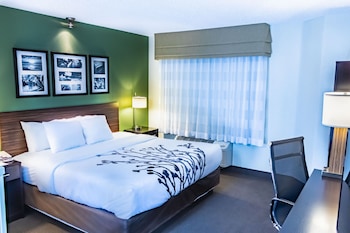 Room, 1 King Bed, Accessible, Non Smoking