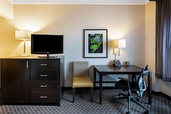 Room, 1 King Bed, Non Smoking