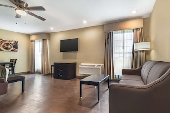 Suite, 1 King Bed, Non Smoking, Kitchen (with Sofabed)