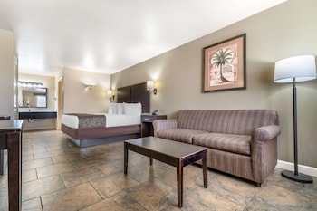 Standard Room, 1 King Bed, Non Smoking, Refrigerator & Microwave