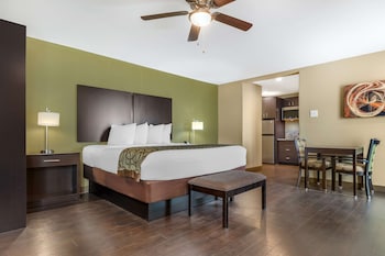 Suite, 1 King Bed, Non Smoking, Kitchen (with Sofabed)