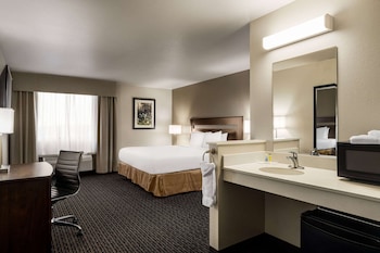 Room, 1 King Bed, Accessible, Non Smoking