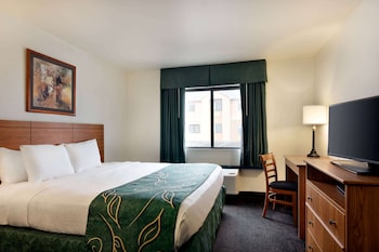 Room, 1 King Bed, Non Smoking