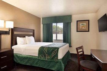 Room, 1 Queen Bed, Non Smoking