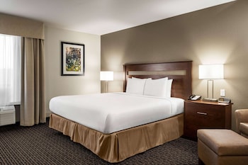Room, 1 King Bed, Non Smoking