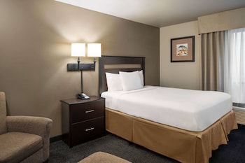 Room, 1 Queen Bed, Non Smoking