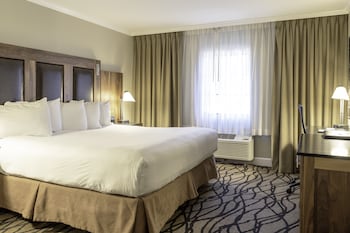 Standard Room, 1 King Bed