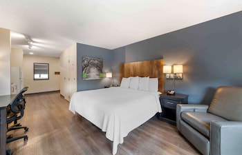 Studio, 1 King Bed, Non Smoking