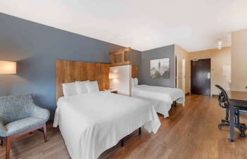 Superior Studio, 2 Double Beds, Non Smoking