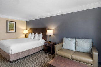 Standard Room, 1 King Bed, Non Smoking, Refrigerator & Microwave