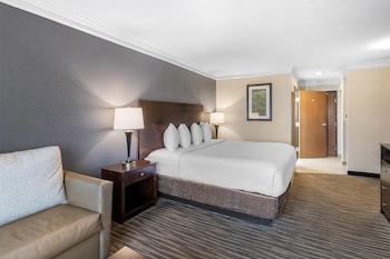 Standard Room, 1 King Bed, Non Smoking, Microwave