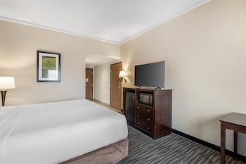 Standard Room, 1 King Bed, Accessible, Refrigerator & Microwave