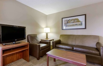 Deluxe Studio, 1 Queen Bed with Sofa bed, Non Smoking