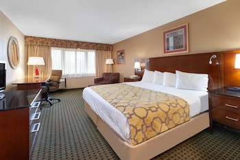 Room, 1 King Bed, Non Smoking, Microwave