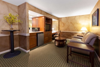Studio Suite, 1 King Bed, Non Smoking